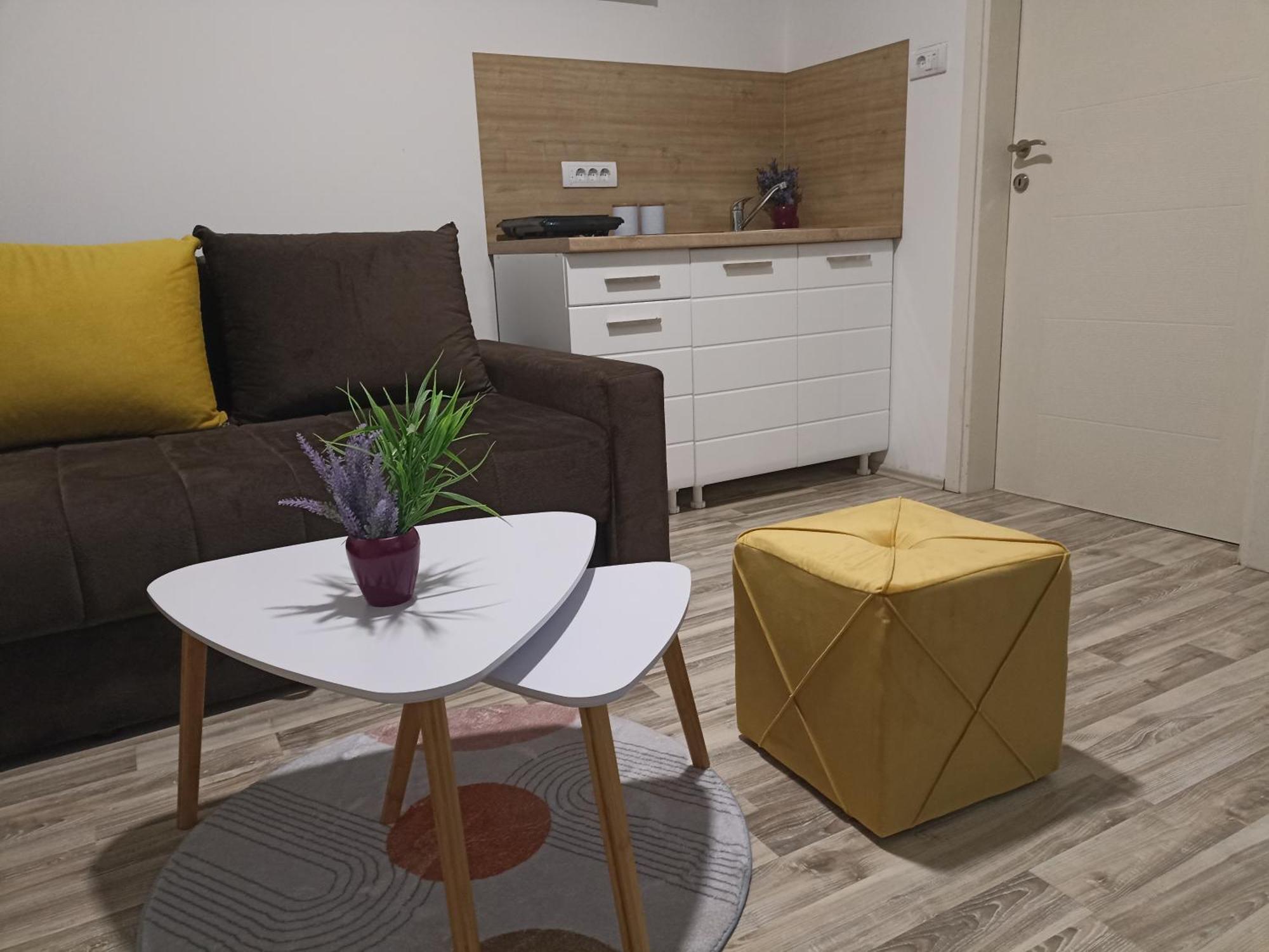 Vikendica Apartments Dunav Ms Celarevo エクステリア 写真