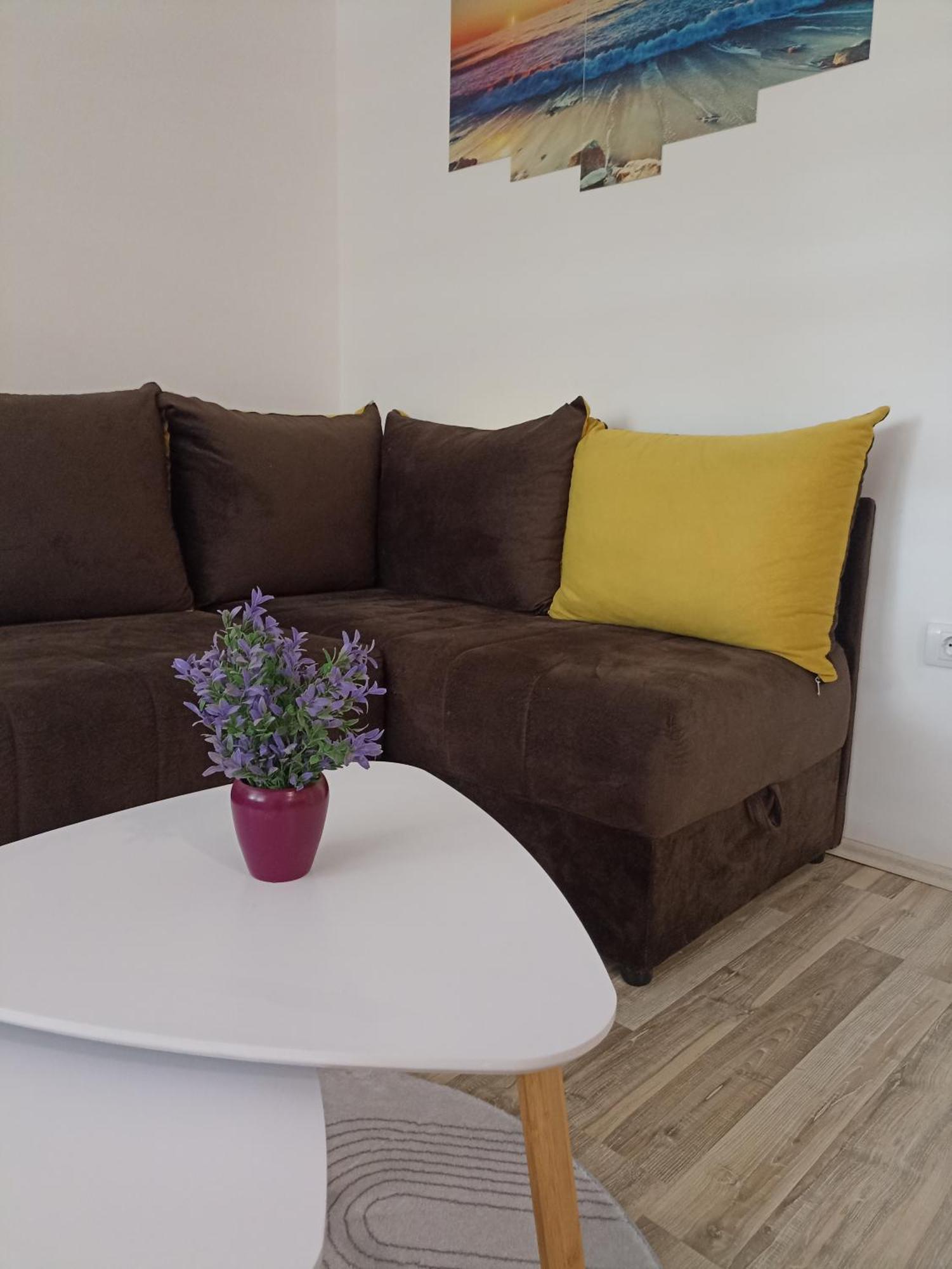Vikendica Apartments Dunav Ms Celarevo エクステリア 写真